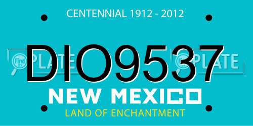 DIO9537 New Mexico License Plate