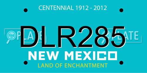 DLR285 New Mexico License Plate
