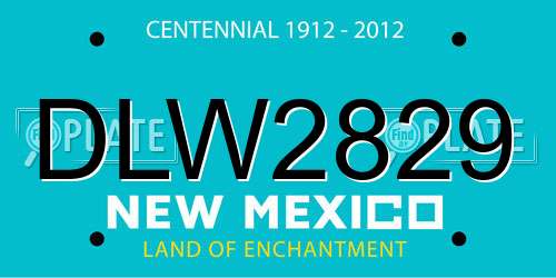 DLW2829 New Mexico License Plate