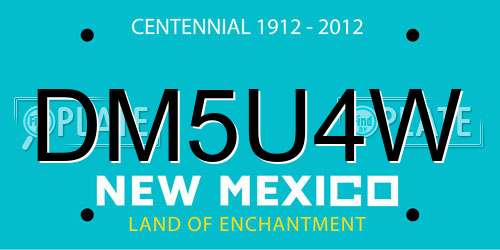 DM5U4W New Mexico License Plate