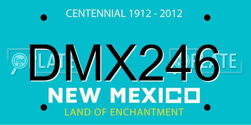 DMX246 New Mexico License Plate