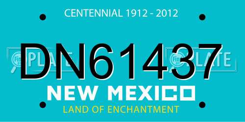 DN61437 New Mexico License Plate