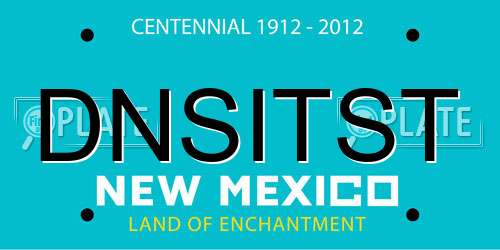 DNSITST New Mexico License Plate