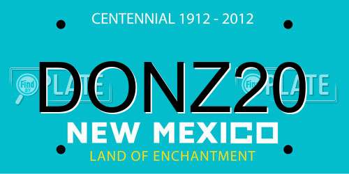 DONZ20 New Mexico License Plate