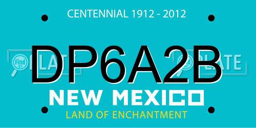 DP6A2B New Mexico License Plate