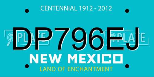 DP796EJ New Mexico License Plate
