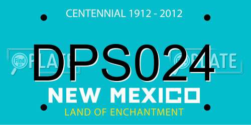 DPS024 New Mexico License Plate