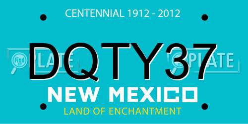 DQTY37 New Mexico License Plate