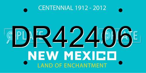 DR42406 New Mexico License Plate