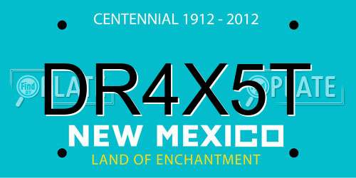 DR4X5T New Mexico License Plate