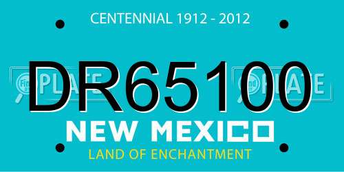 DR65100 New Mexico License Plate
