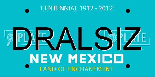 DRALSIZ New Mexico License Plate