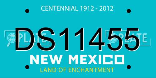 DS11455 New Mexico License Plate