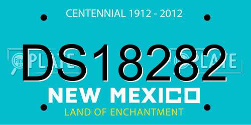 DS18282 New Mexico License Plate