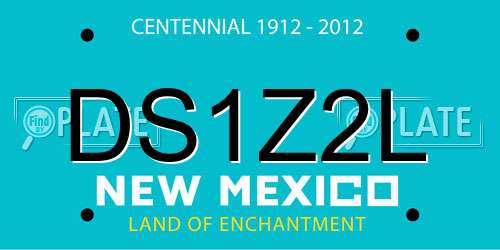 DS1Z2L New Mexico License Plate