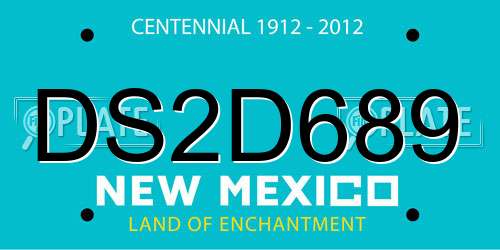 DS2D689 New Mexico License Plate
