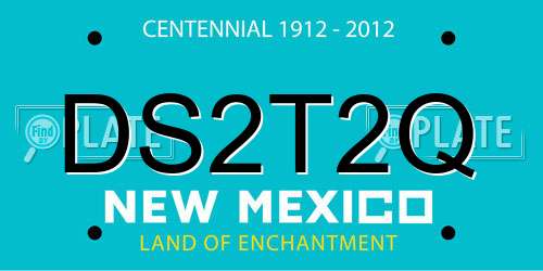 DS2T2Q New Mexico License Plate