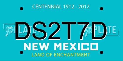 DS2T7D New Mexico License Plate