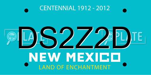 DS2Z2D New Mexico License Plate