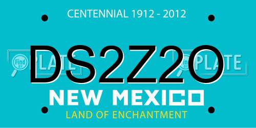 DS2Z2O New Mexico License Plate