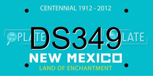 DS349 New Mexico License Plate