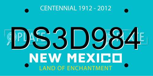 DS3D984 New Mexico License Plate