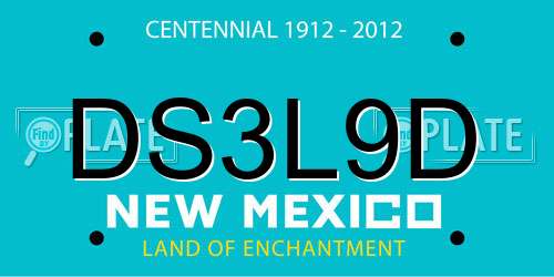 DS3L9D New Mexico License Plate
