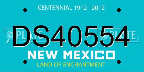 DS40554 New Mexico License Plate