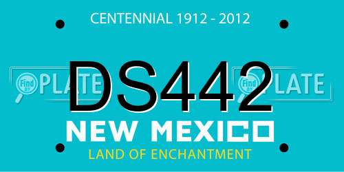 DS442 New Mexico License Plate