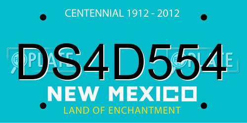 DS4D554 New Mexico License Plate
