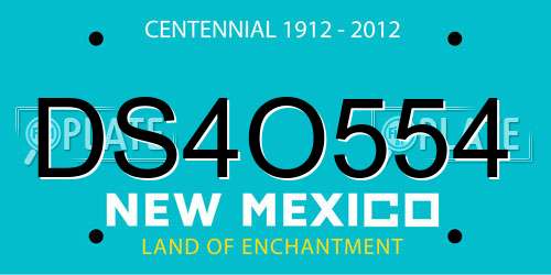 DS4O554 New Mexico License Plate