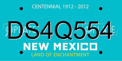 DS4Q554 New Mexico License Plate