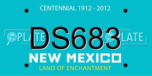 DS683 New Mexico License Plate