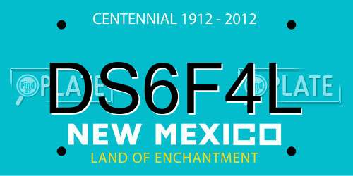 DS6F4L New Mexico License Plate