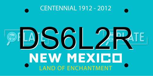 DS6L2R New Mexico License Plate