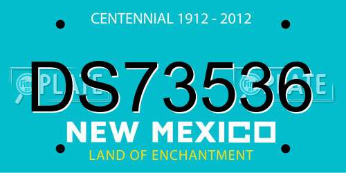 DS73536 New Mexico License Plate