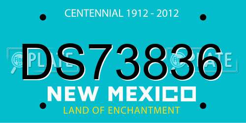 DS73836 New Mexico License Plate