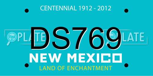 DS769 New Mexico License Plate
