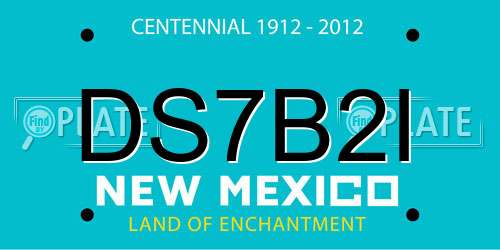 DS7B2I New Mexico License Plate