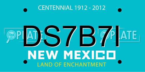 DS7B7I New Mexico License Plate