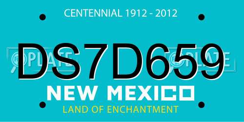DS7D659 New Mexico License Plate
