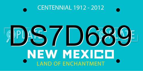 DS7D689 New Mexico License Plate