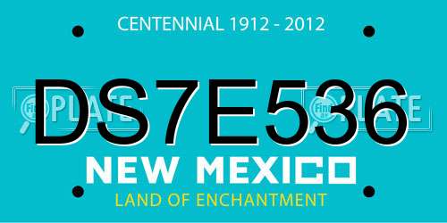 DS7E536 New Mexico License Plate
