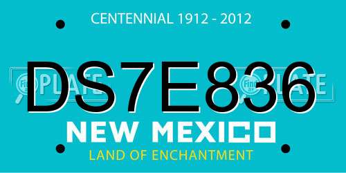 DS7E836 New Mexico License Plate