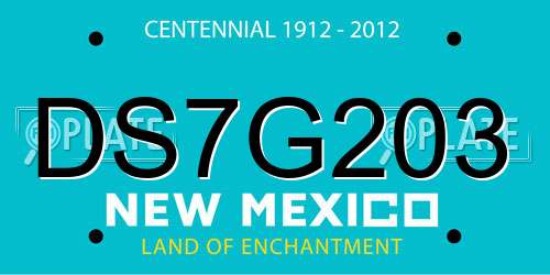DS7G203 New Mexico License Plate