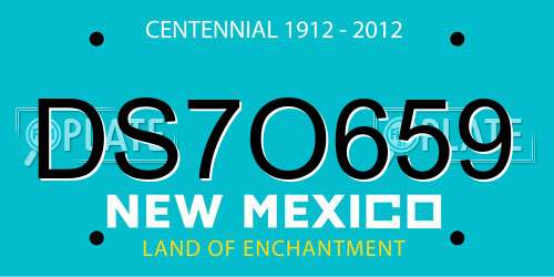 DS7O659 New Mexico License Plate