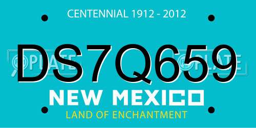 DS7Q659 New Mexico License Plate