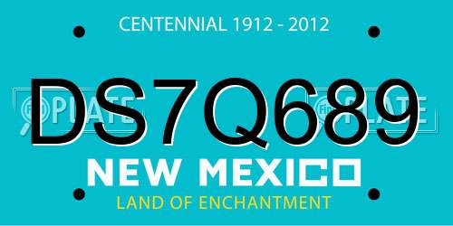 DS7Q689 New Mexico License Plate