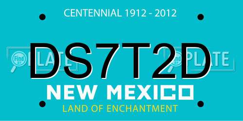 DS7T2D New Mexico License Plate