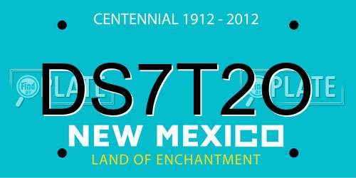 DS7T2O New Mexico License Plate